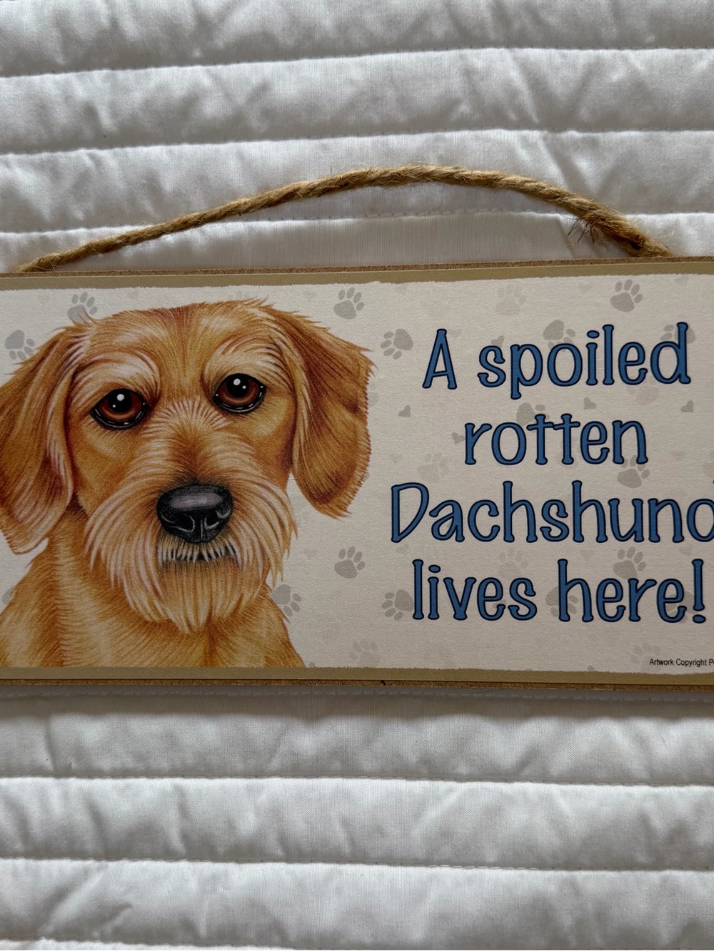 Dog Sign - Spoiled Rotten Dachshund Lives Here - Tan Illustration